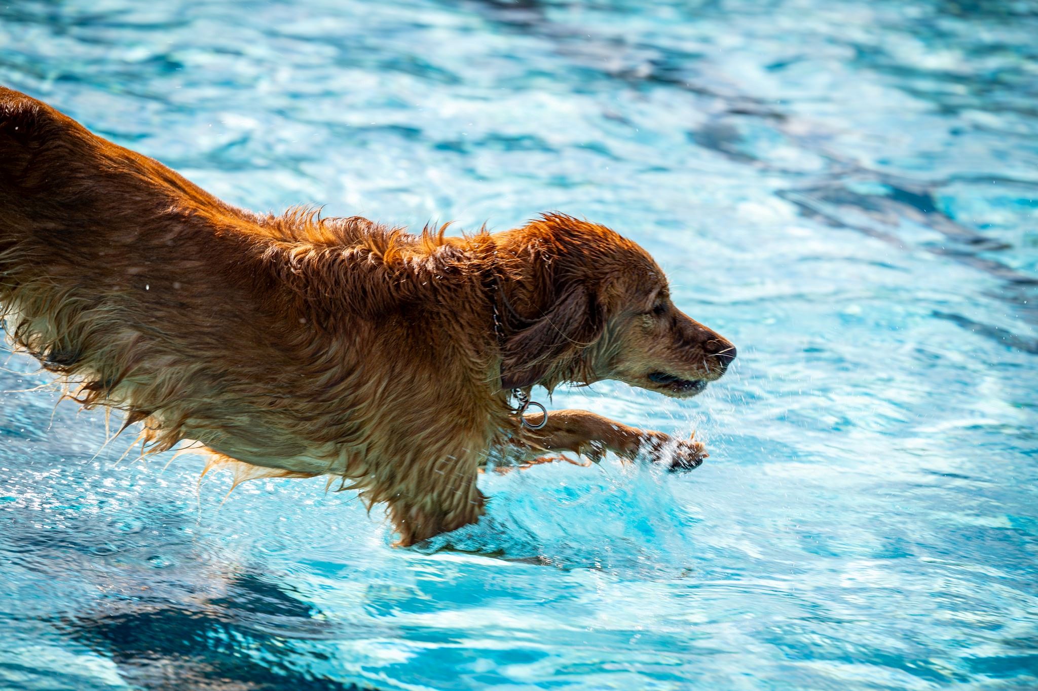 541808844_10242046413243181_7722009127291905215_n