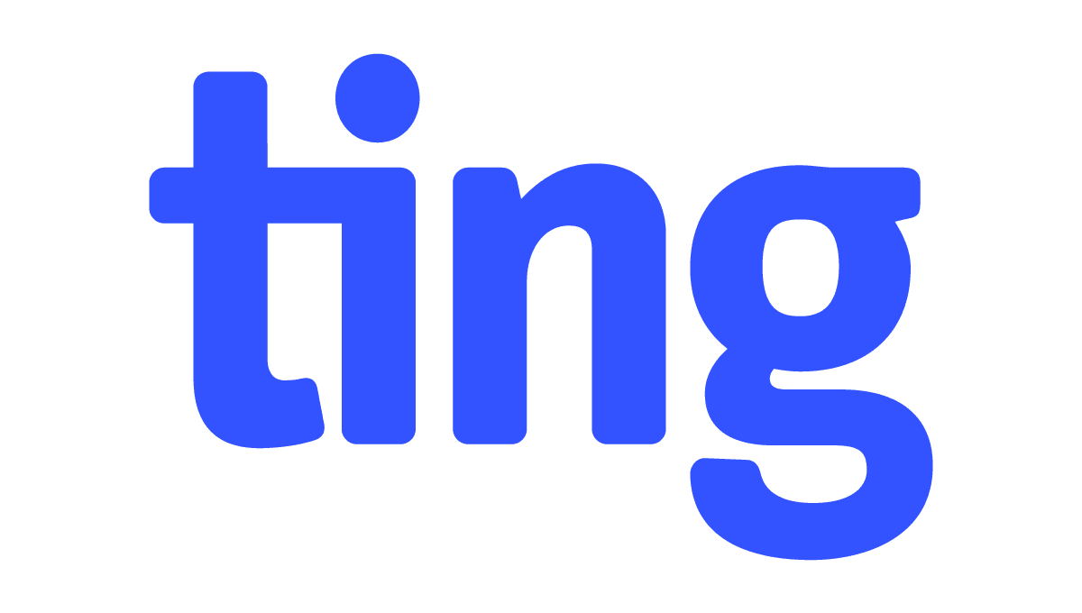 Ting Logo (2024)